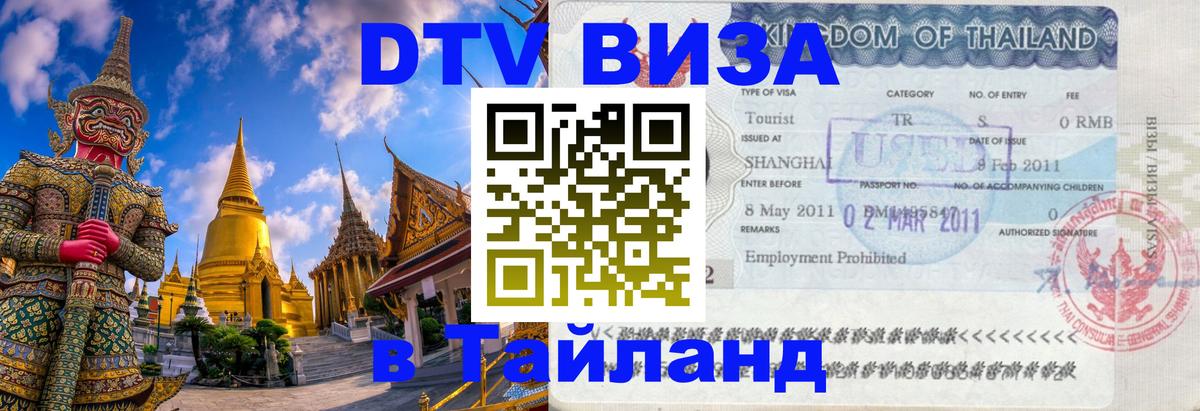 Оформление DTV визы под ключ: стоимость и тарифы, только загранпаспорт - 